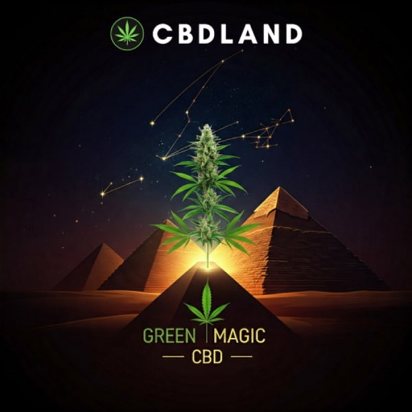 Green Magic CBD hash